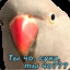 РАК ВО ВРАНГЛЕРАХ