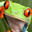 Frog Nuts