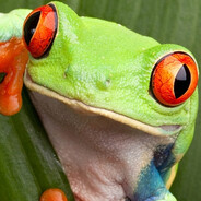 Frog Nuts