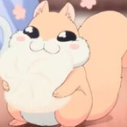 Squirewl