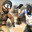 RateHunter_005