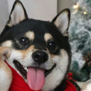 我们都有光明的未来