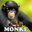 Monke