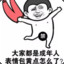 Remember ZL