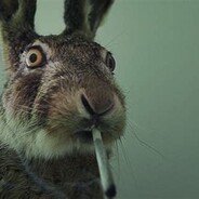 StonedRabbit