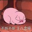 zhuzaizi