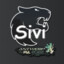 Sivi