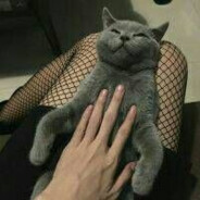 我在河口当肉便器