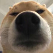 一行征燕向南飞