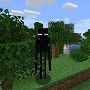 Enderman