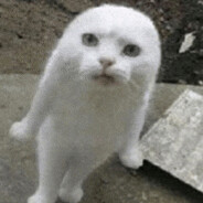 minou