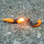 Burnt Cheeto