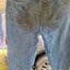 shidded pants