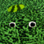 Monter energy dink