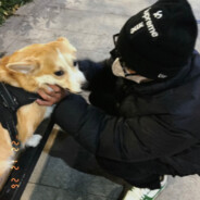 为什么坤坤洋洋的