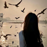 野猫本身就很野