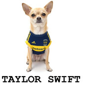 TAYLOR SWIFT *