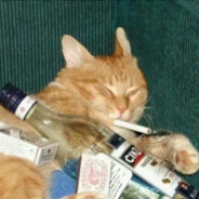 你不要过来啊！！！