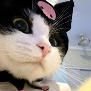 我有一颗臭豆豆