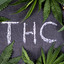 THC | Hash*