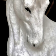 伟大的中华民族