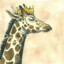 Thoughtful_Giraffe ☭