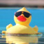 RaceDuck