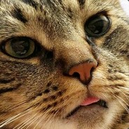 77777777777777777777777777777777