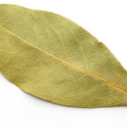 лавровый листик