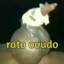 Rato Ovudo