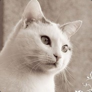 Yumeroh - steam id 76561197964460252