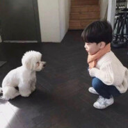 若你懂我的极致忧郁