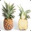 [ Pineapple ]