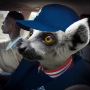 kendrick lemur