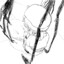 digestive兔爷
