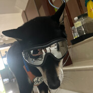 Black刀盾