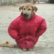 四年级三班王美丽