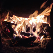 间歇性水冷散热，持续性猪脑过载