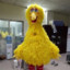 Big Bird