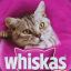 WhiSkAs :)