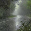☆Petrichor☆