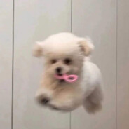 李栋旭之小娇妻