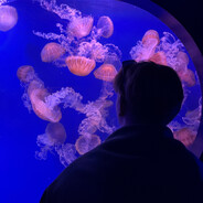 lomek - steam id 76561199038816276