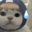 候鸟