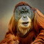 orangutini ananasiniツ