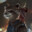 Raccoon