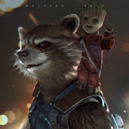 Raccoon