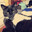 Purr