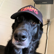 Kato
