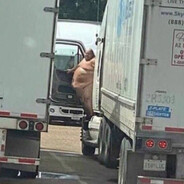 шофёр большепуза